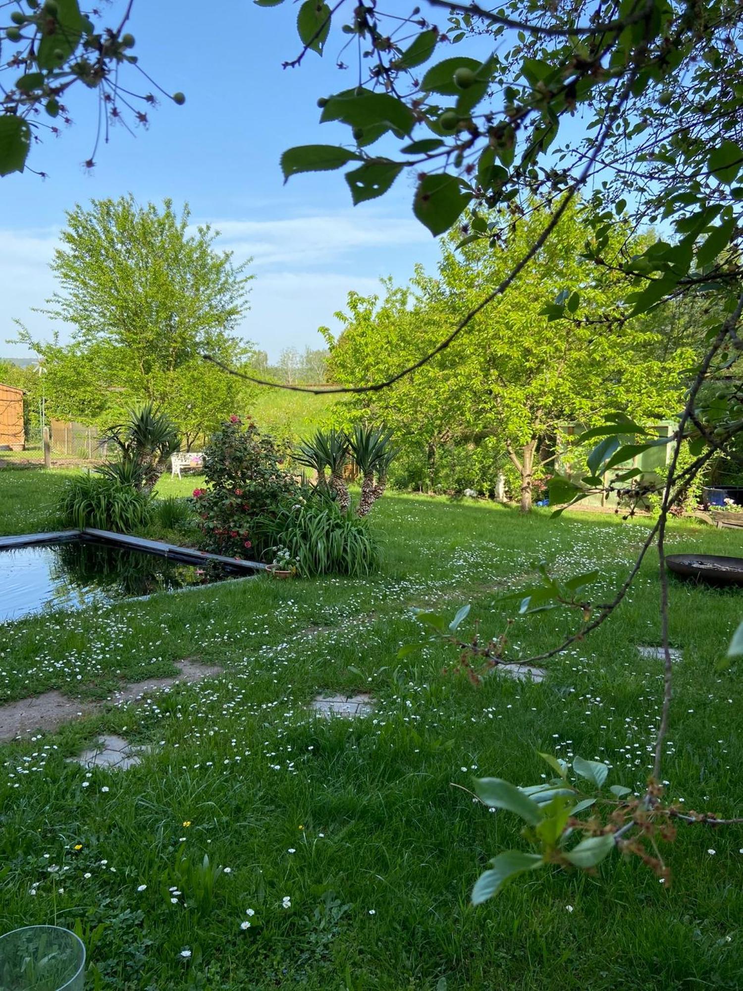 2Z-Ferienwohnung, Umgeben Vom Spessart & Main Stadtprozelten Esterno foto